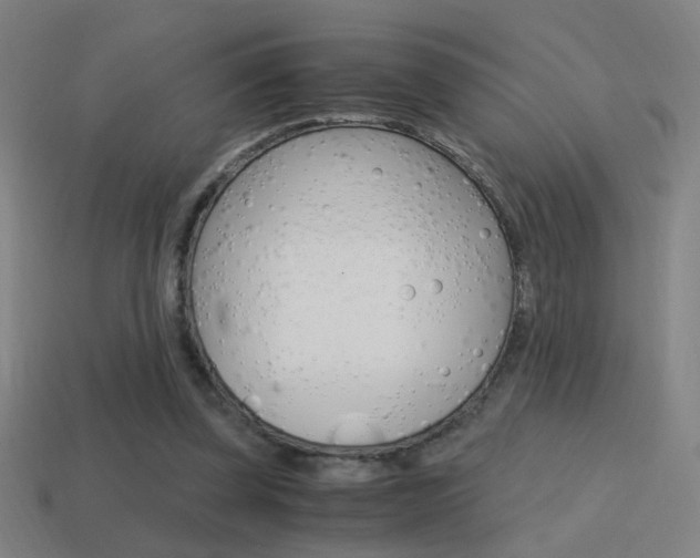 X0000114700347200910211014