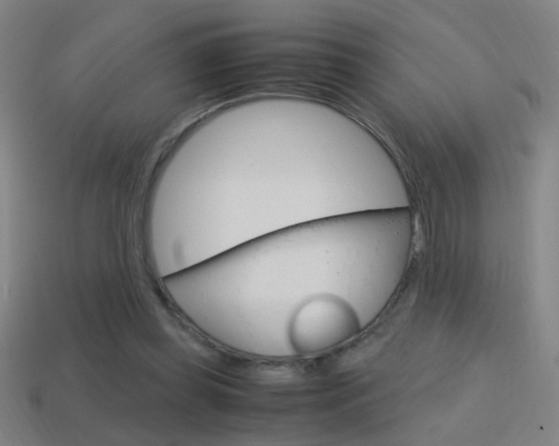 X0000114700349200910211014