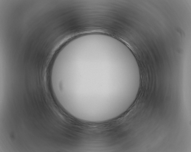 X0000114700350200910211014