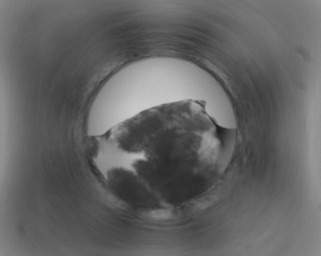 X0000114700353200910211014