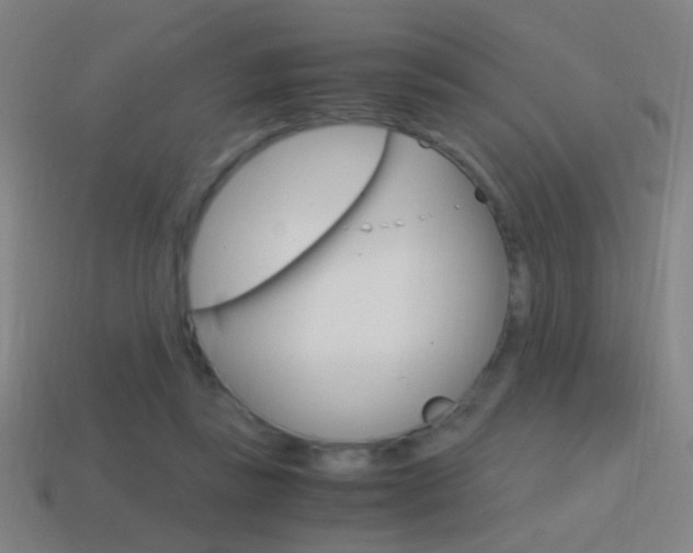 X0000114700355200910211014
