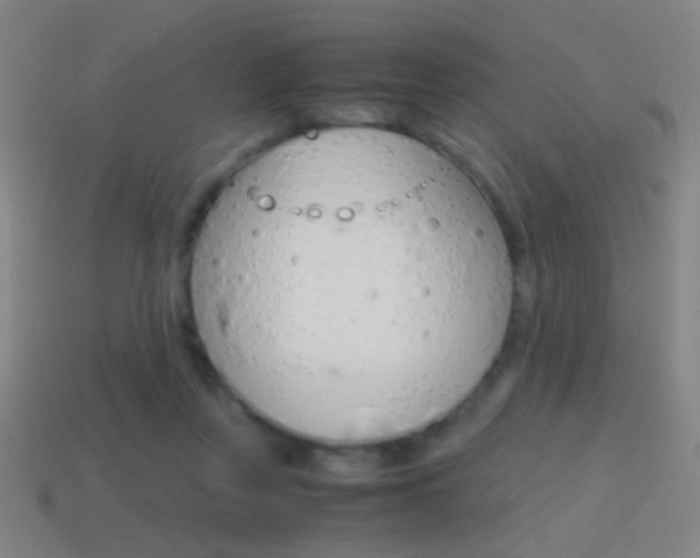 X0000114700359200910211014