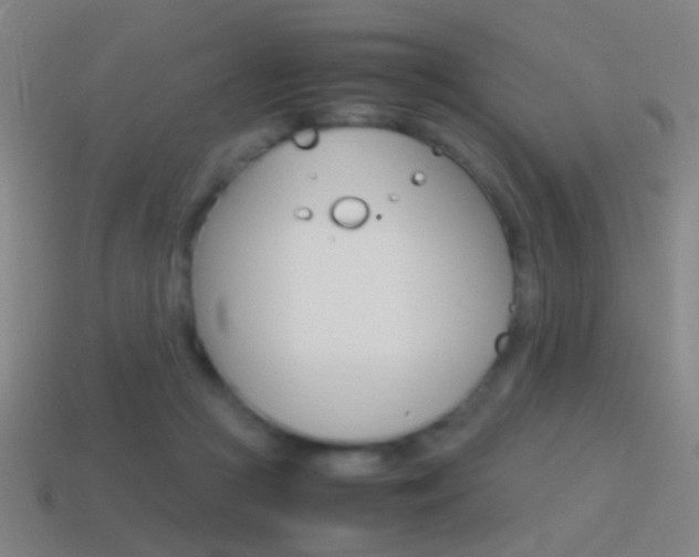 X0000114700361200910211014