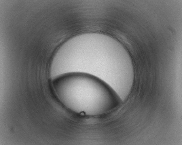 X0000114700362200910211014