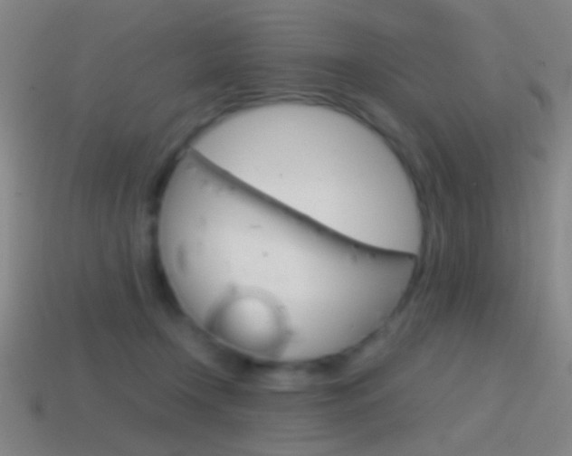 X0000114700366200910211014