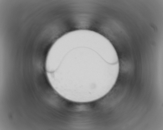 X0000114700370200910211014