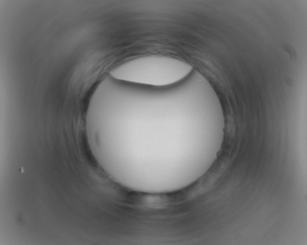X0000114700371200910211014