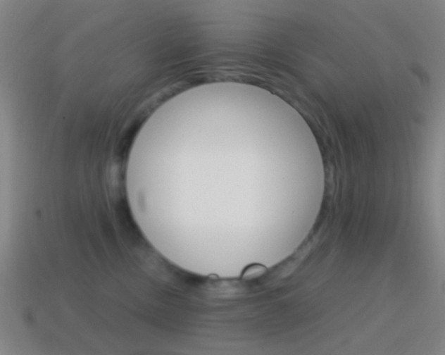 X0000114700378200910211014