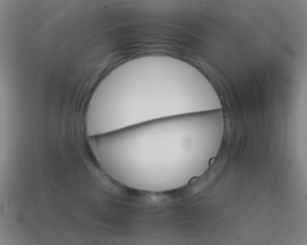 X0000114700379200910211014