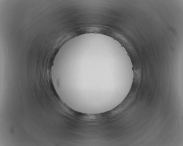 X0000114700381200910211014