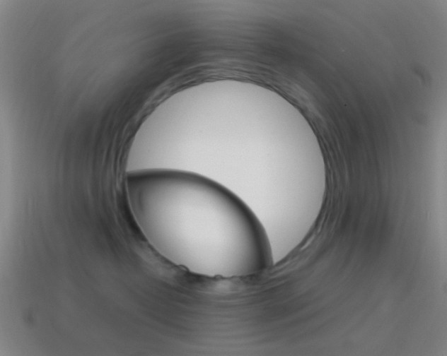 X0000114700382200910211014