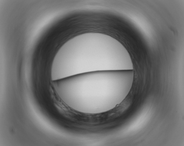 X0000114700383200910211014