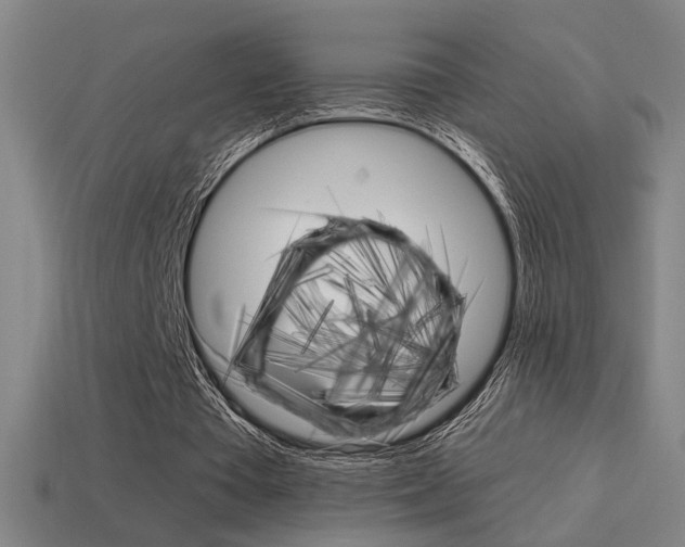 X0000114700385200910211014