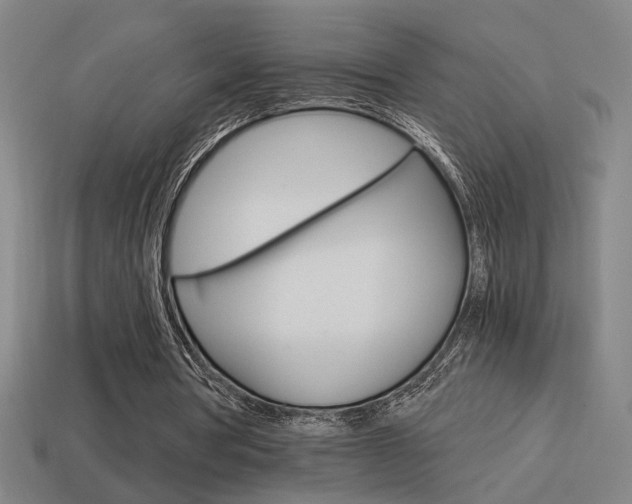 X0000114700386200910211014