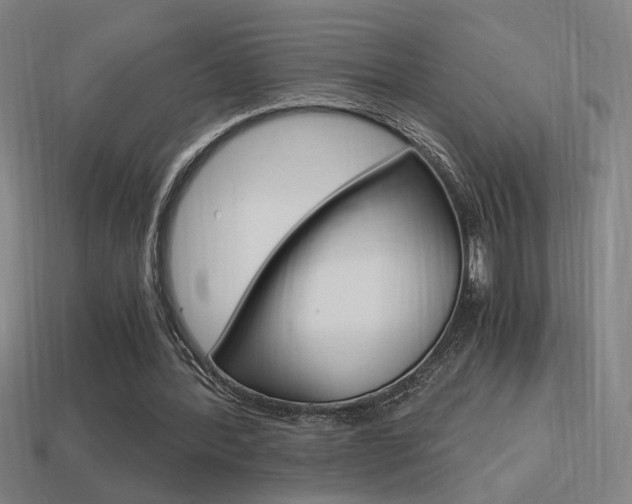 X0000114700388200910211014