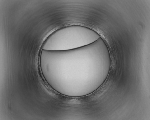 X0000114700390200910211013