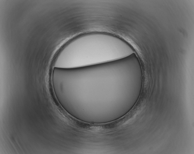 X0000114700391200910211013