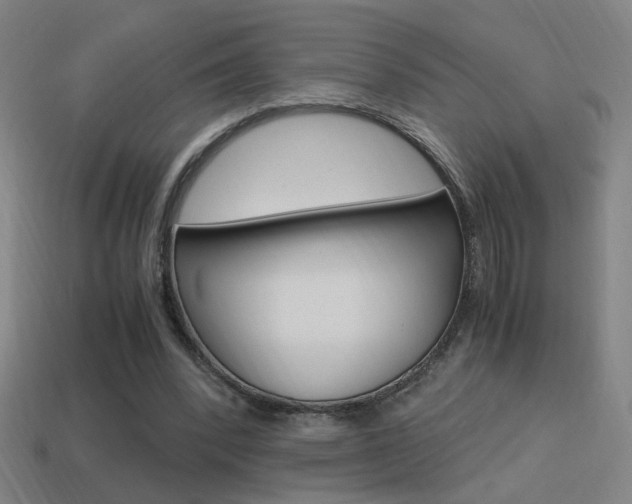 X0000114700392200910211013
