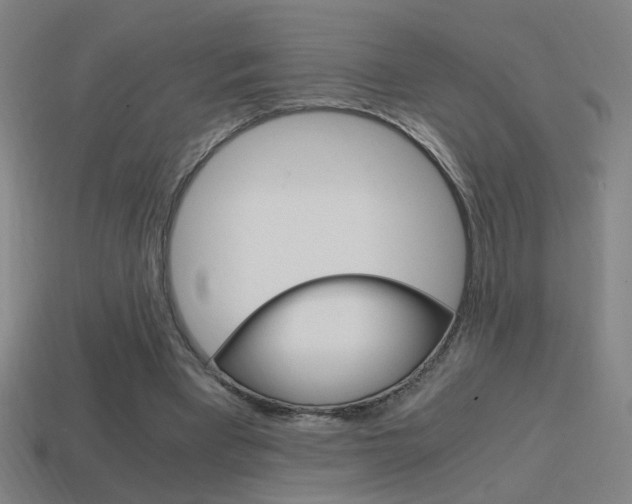 X0000114700393200910211013