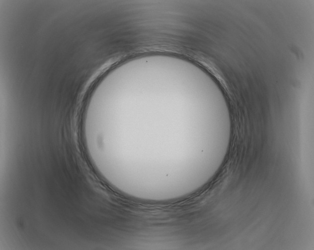 X0000114700395200910211013