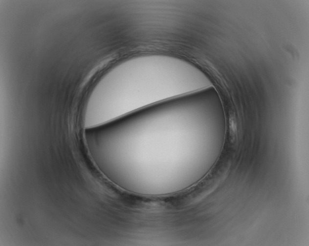 X0000114700396200910211013