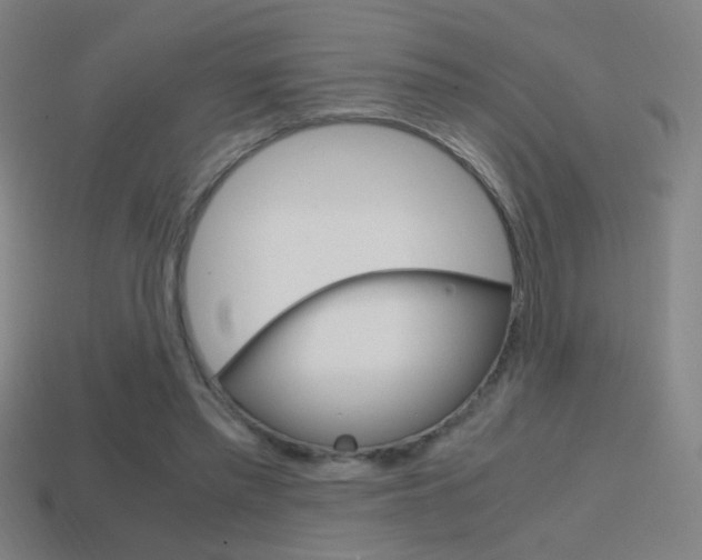 X0000114700397200910211013