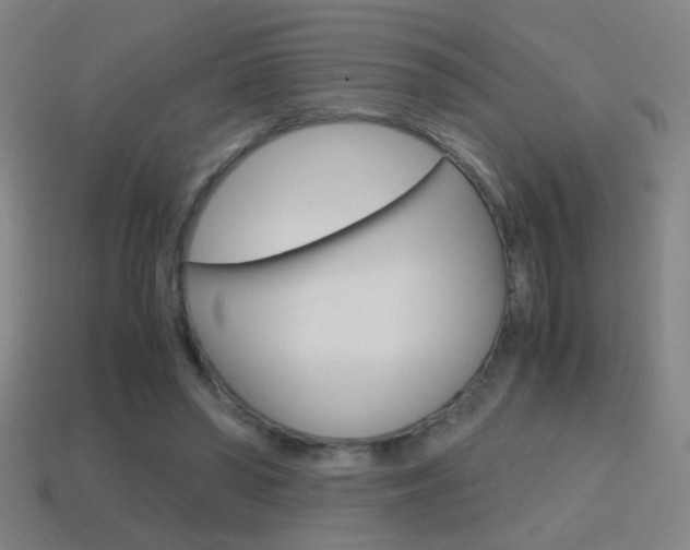 X0000114700398200910211013