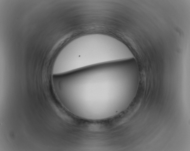 X0000114700400200910211013