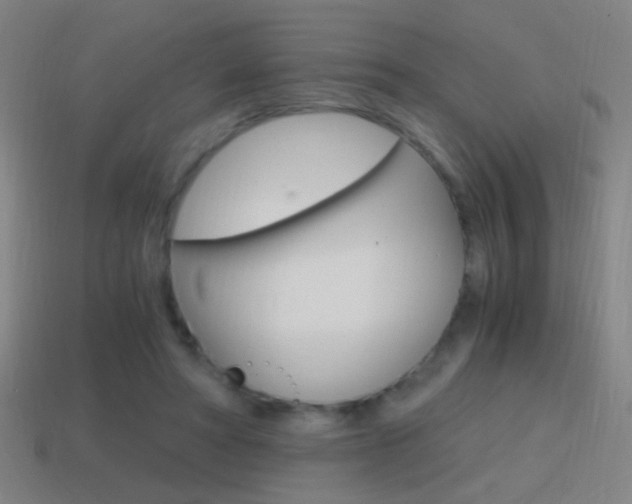 X0000114700402200910211013