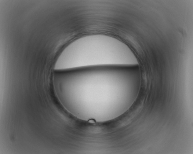 X0000114700404200910211013