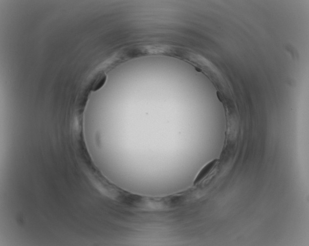 X0000114700405200910211013