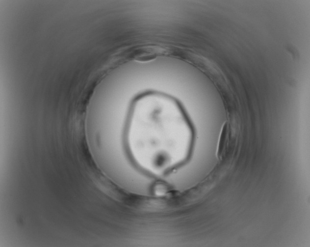 X0000114700409200910211013