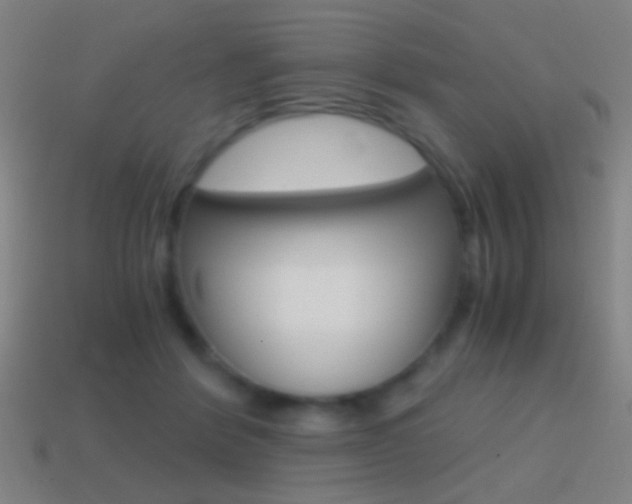 X0000114700412200910211013