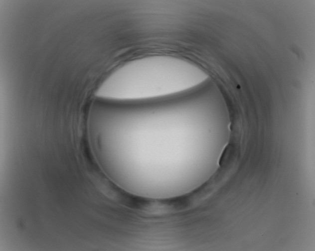 X0000114700413200910211013