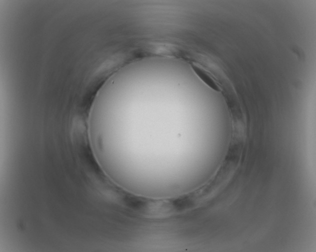 X0000114700415200910211013