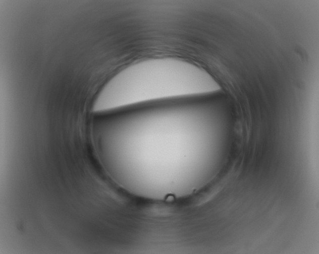 X0000114700416200910211013