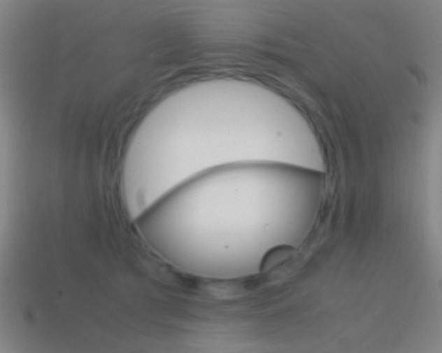 X0000114700417200910211013