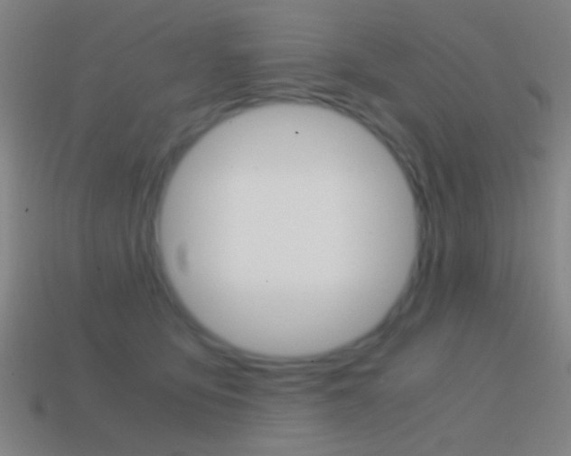 X0000114700419200910211013