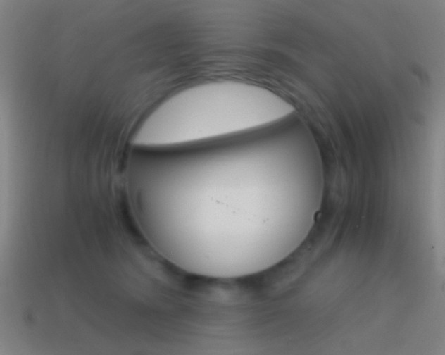 X0000114700420200910211013