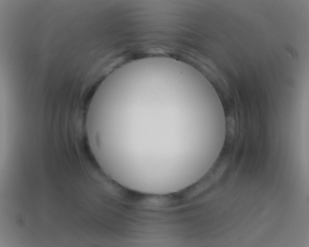 X0000114700422200910211013