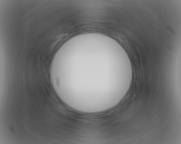X0000114700423200910211013