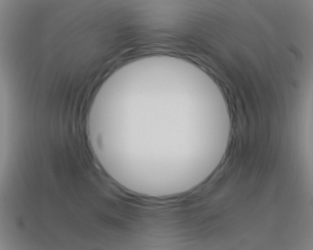 X0000114700425200910211013
