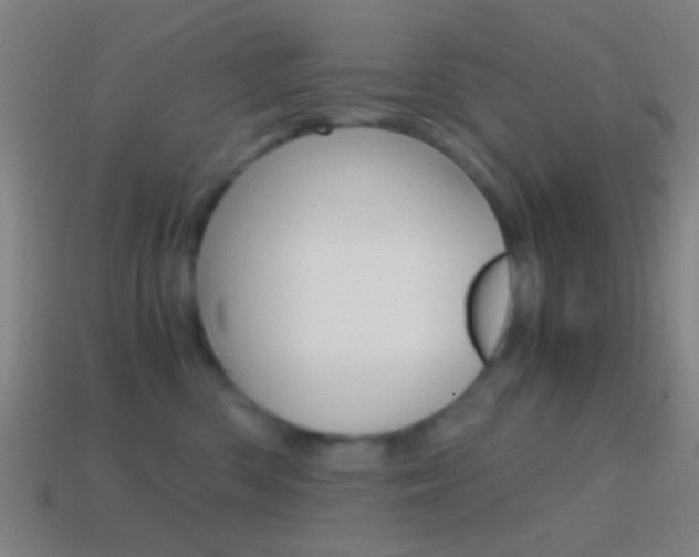 X0000114700426200910211013