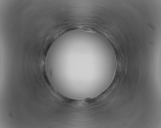 X0000114700427200910211013