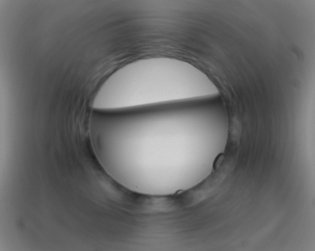 X0000114700428200910211013