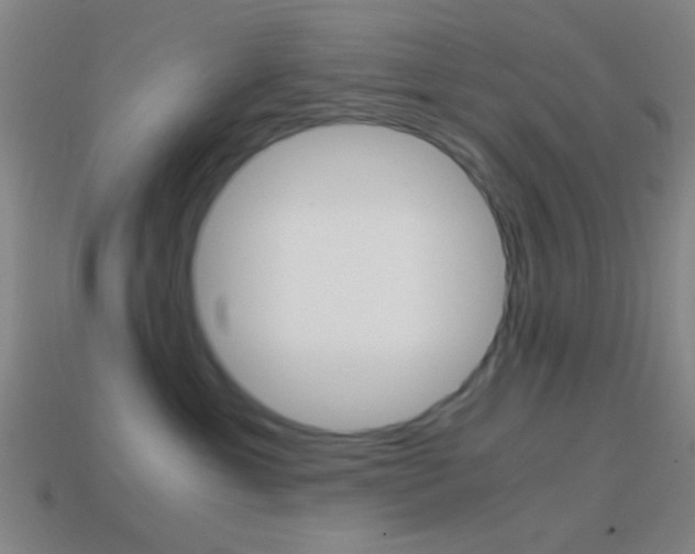 X0000114700429200910211013