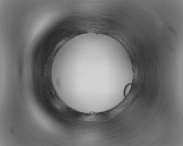 X0000114700430200910211013