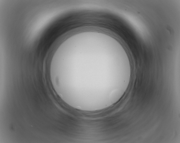 X0000114700431200910211013