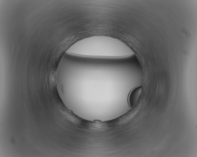 X0000114700432200910211013