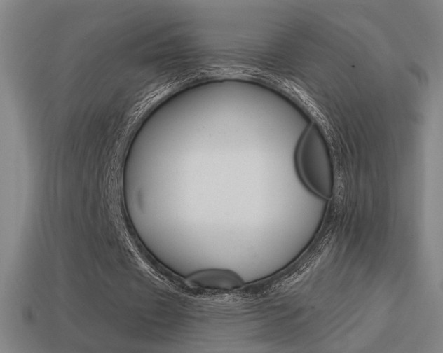 X0000114700433200910211012